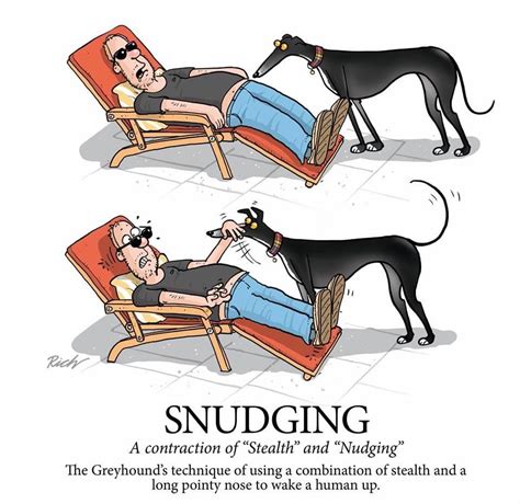 Greyhound Cartoons and Comics .